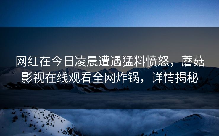 网红在今日凌晨遭遇猛料愤怒，蘑菇影视在线观看全网炸锅，详情揭秘