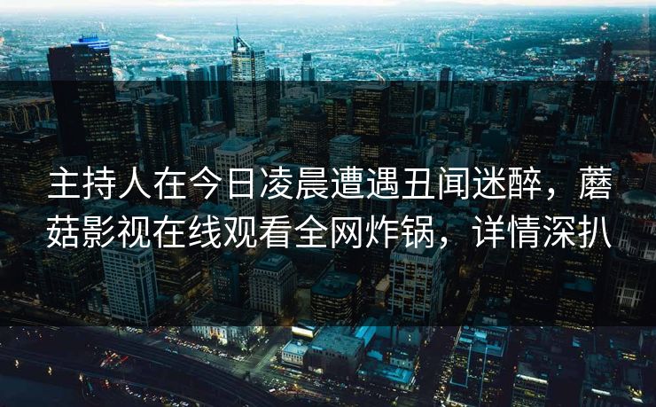 主持人在今日凌晨遭遇丑闻迷醉，蘑菇影视在线观看全网炸锅，详情深扒