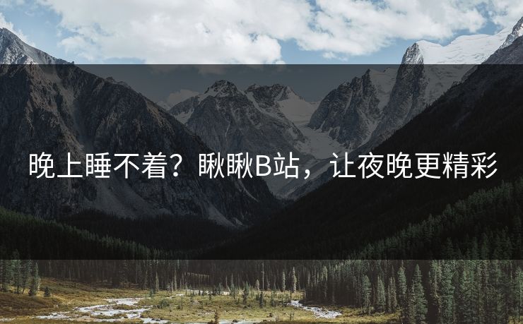 晚上睡不着？瞅瞅B站，让夜晚更精彩