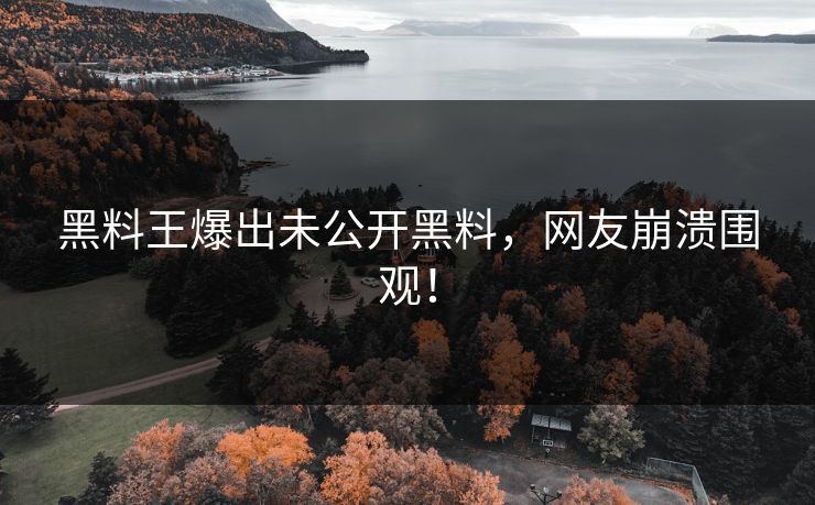 黑料王爆出未公开黑料，网友崩溃围观！