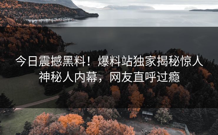 今日震撼黑料！爆料站独家揭秘惊人神秘人内幕，网友直呼过瘾