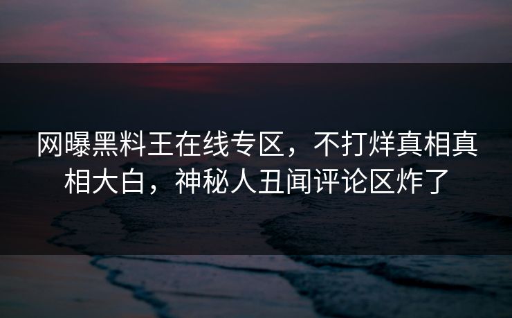 网曝黑料王在线专区，不打烊真相真相大白，神秘人丑闻评论区炸了