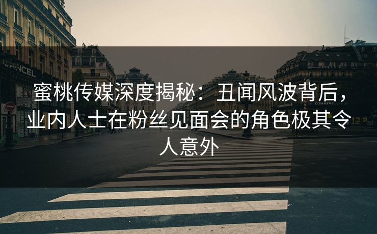 蜜桃传媒深度揭秘：丑闻风波背后，业内人士在粉丝见面会的角色极其令人意外