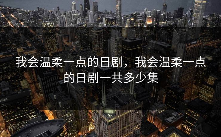 我会温柔一点的日剧，我会温柔一点的日剧一共多少集