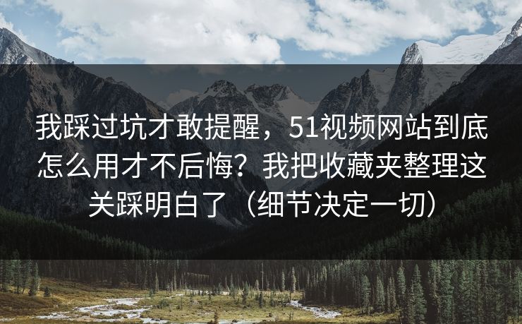 我踩过坑才敢提醒，51视频网站到底怎么用才不后悔？我把收藏夹整理这关踩明白了（细节决定一切）